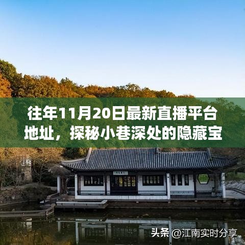 探秘小巷深處的寶藏，十一月二十日最新直播平臺獨(dú)特魅力之旅的地址分享