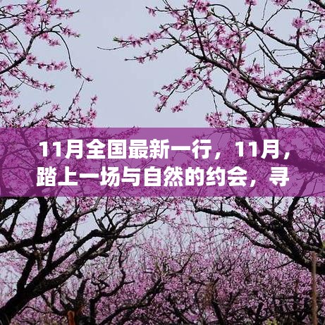 11月踏自然之旅，內(nèi)心的桃花源探尋記