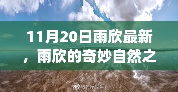 雨欣的11月20日奇妙探險，自然之旅尋找心靈寧靜與笑聲