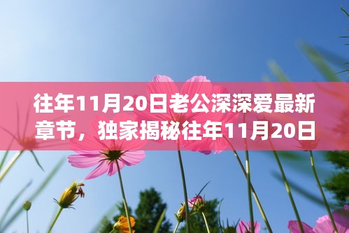 往年11月20日老公深情與高科技融合，全新智能伴侶揭秘，顛覆想象！