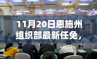 恩施州組織部最新任免動態(tài)解析及用戶群體分析，特性、體驗與競品對比報告