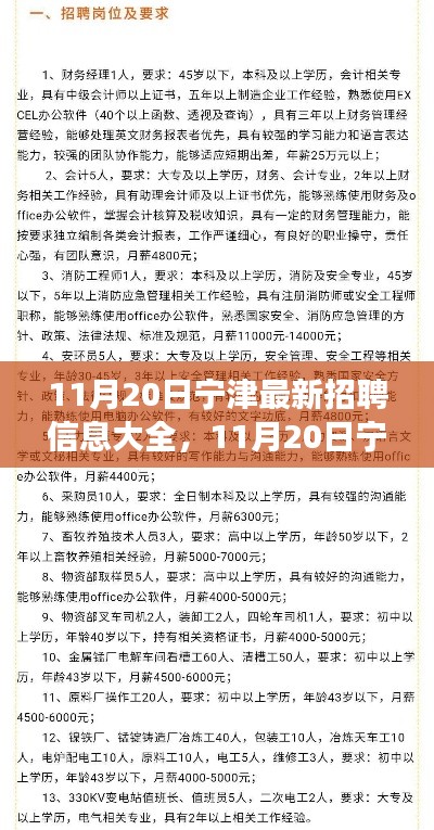 11月20日寧津最新招聘信息匯總，全面解讀招聘平臺(tái)特性與體驗(yàn)