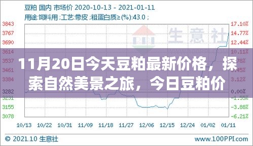 啟程尋找內(nèi)心平和，今日豆粕最新價格與自然美景之旅的寧靜故事