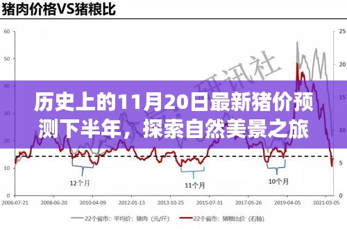 歷史上的11月20日豬價預(yù)測與心靈寧靜尋覓之旅，自然美景探索