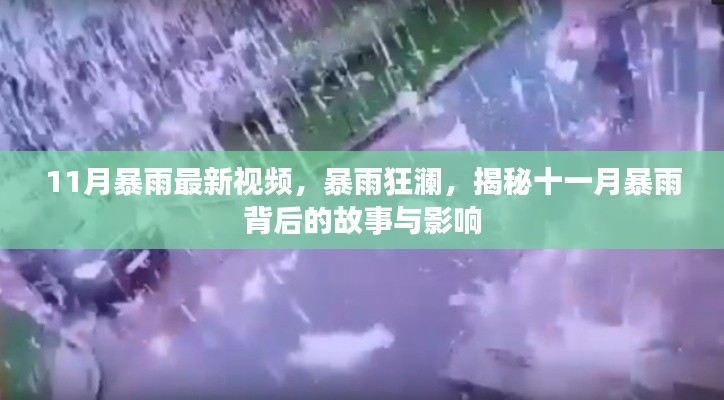 揭秘十一月暴雨背后的故事與影響，暴雨狂瀾最新視頻報(bào)道