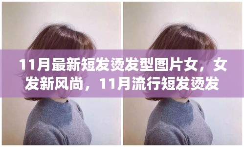 11月流行女發(fā)短燙發(fā)，全新風尚與全攻略圖片欣賞