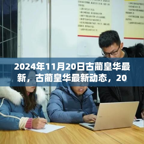 古藺皇華最新動態(tài)深度解析，2024年11月20日報告