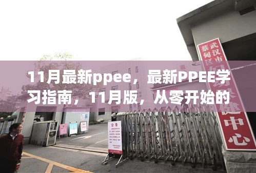 最新PPEE學習指南，從零開始的詳細步驟教程（11月版）