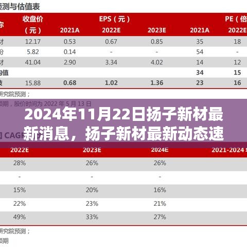 2024年11月22日揚子新材最新消息，揚子新材最新動態(tài)速遞，2024年11月22日的三大看點