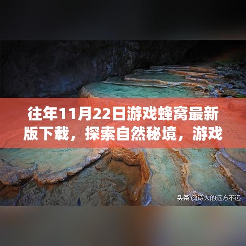 游戲蜂窩帶你探索自然秘境，最新下載，心靈平靜之旅