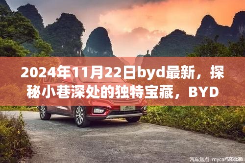 探秘小巷深處的獨(dú)特寶藏，BYD最新隱藏版特色小店揭秘（2024年11月22日）