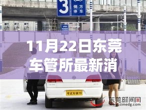 東莞車管所溫馨日常，趣事與陪伴的特別記錄（11月22日最新消息）