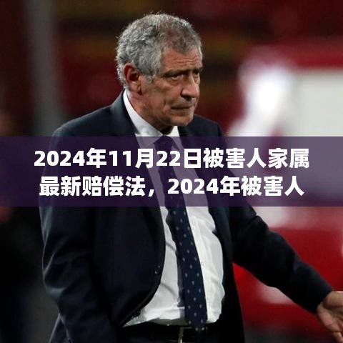 深度解讀2024年被害人家屬賠償法，背景、進(jìn)展與影響