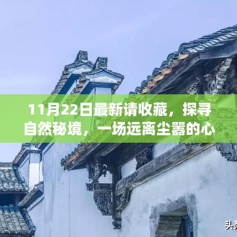 11月22日探尋自然秘境之旅，心靈啟程，珍藏美好瞬間