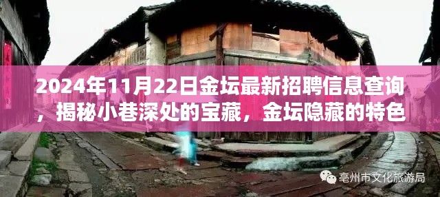 揭秘金壇隱藏特色小店與最新招聘信息奇遇記，2024年11月22日金壇招聘信息深度查詢