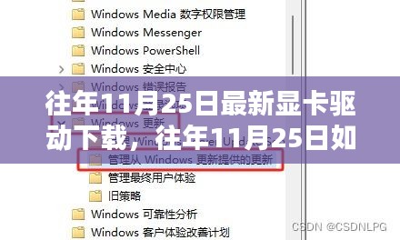 往年11月25日顯卡驅動下載攻略，輕松獲取最新驅動與一站式解決方案