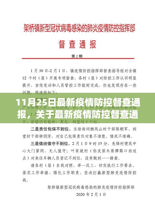 聚焦要點(diǎn)解讀，最新疫情防控督查通報(bào)分析（11月25日版）