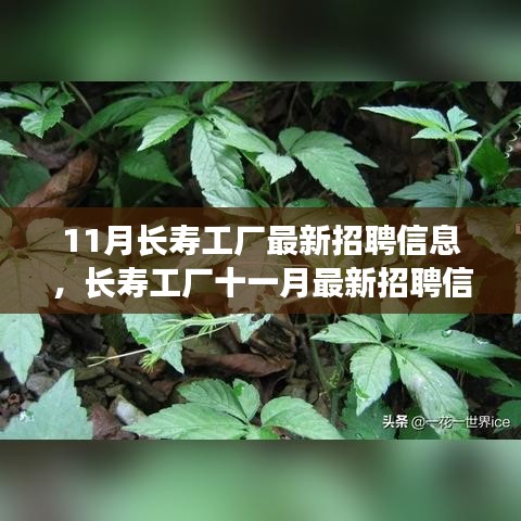 沒精打采 第15頁(yè)