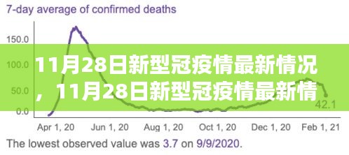 全面評(píng)測(cè)與深度解析，11月28日新冠疫情最新情況