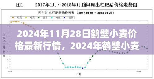 2024年鶴壁小麥價(jià)格最新行情及市場(chǎng)走勢(shì)分析，影響因素探討