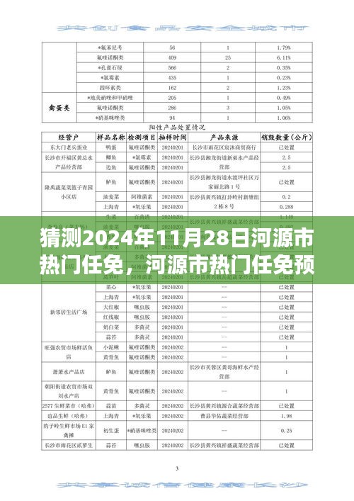 河源市熱門任免預(yù)測(cè)報(bào)告，揭秘2024年11月28日的人才動(dòng)向深度分析