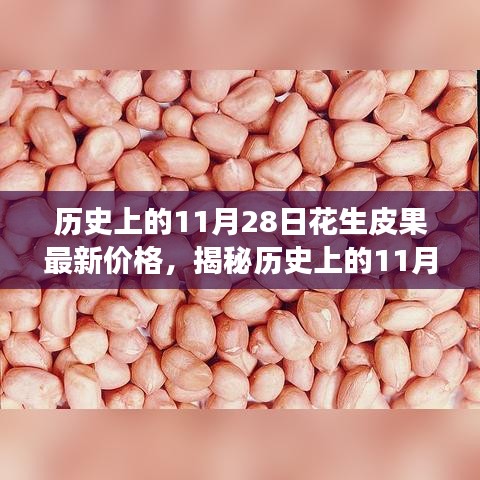 全方位解析，歷史上的11月28日花生皮果最新價(jià)格獲取與解讀步驟指南