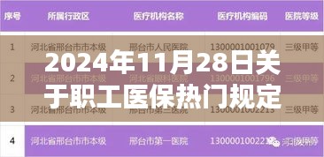 重磅！2024年職工醫(yī)保新規(guī)定詳解，你需要知道的一切