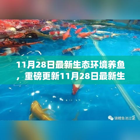 揭秘最新生態(tài)環(huán)境養(yǎng)魚秘籍，打造生態(tài)魚池新境界！