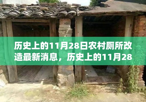 歷史上的11月28日，農(nóng)村廁所改造背后的勵志故事與變革力量最新消息