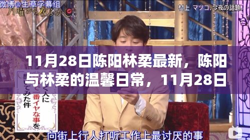 陳陽林柔的溫馨日常，11月28日的快樂時(shí)光記錄