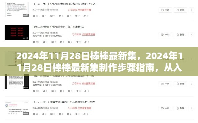 2024年11月28日棒棒最新集制作指南，從入門到精通