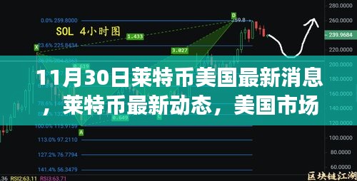 萊特幣美國最新動態(tài)分析，市場趨勢下的正反觀點探討（11月30日）