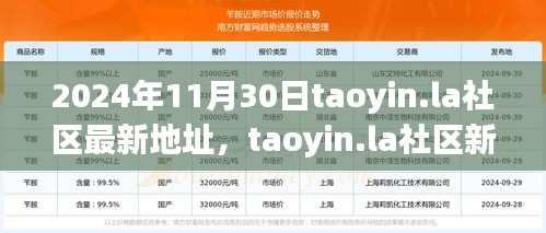 2024年11月30日taoyin.la社區(qū)新址展望，機(jī)遇與挑戰(zhàn)并存