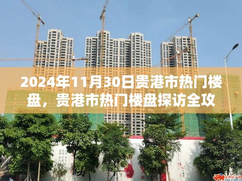 貴港市熱門樓盤探訪全攻略，購房指南（2024年11月30日）