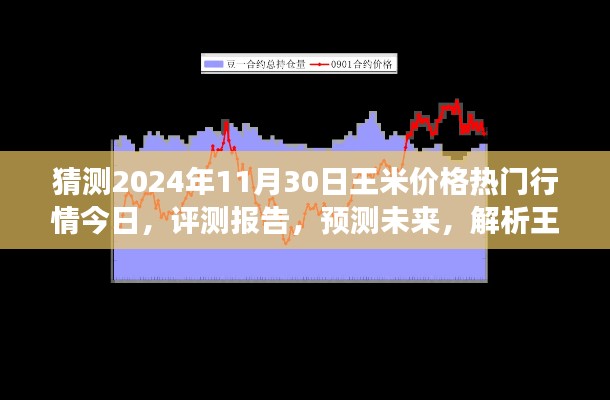 獨家解析，王米價格行情預測至2024年11月30日，今日熱門行情與未來展望評測報告