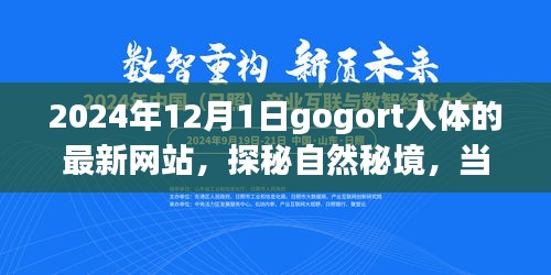 探秘gogort人體奧秘，心靈遇見奇妙旅程的秘境網(wǎng)站（最新更新）