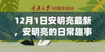 安明亮日常趣事，溫馨時(shí)光回顧，12月1日的精彩瞬間