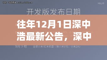 深中浩歷年公告深度解析，背景、事件與領(lǐng)域地位回顧之最新公告解讀