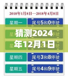 上海未來限行猜想，高架暢想曲與暖心故事，展望2024年12月的新規(guī)定