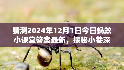 探秘螞蟻小課堂答案背后的神秘小店，2024年12月1日小巷深處的獨特風(fēng)味揭曉