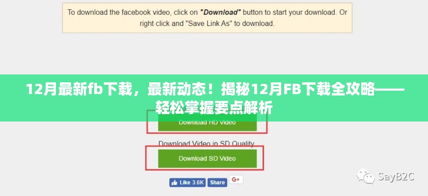 揭秘，最新動態(tài)下的FB下載全攻略，輕松掌握要點解析