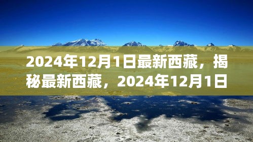 揭秘最新西藏，2024年西藏之旅的精彩瞬間（獨(dú)家報道）