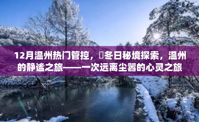 溫州冬季秘境探索，靜謐之旅的心靈之旅，12月熱門(mén)管控下的冬日秘境體驗(yàn)