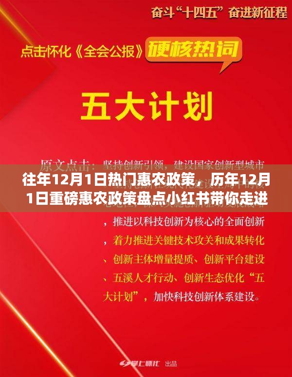 歷年12月1日惠農(nóng)政策盤點，走進(jìn)紅利時代的鄉(xiāng)村福利小紅書分享會