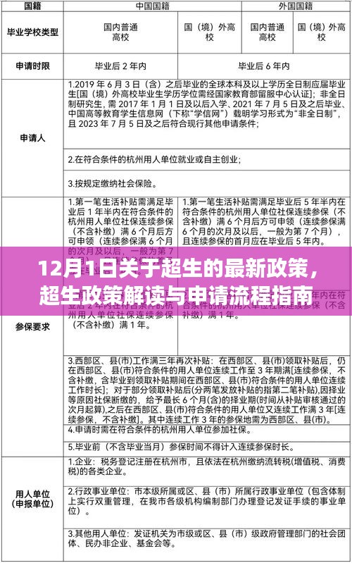 超生政策解讀與申請(qǐng)流程指南，最新政策解讀適用于初學(xué)者與進(jìn)階用戶