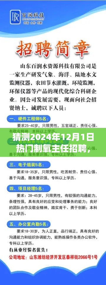 把握未來，挑戰(zhàn)熱門制氧主任崗位，2024年招聘展望與自我超越之路