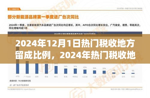 揭秘2024年熱門(mén)稅收地方留成比例，查詢與解讀指南