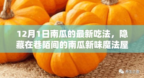 12月1日南瓜新味魔法屋，探秘南瓜盛宴的隱藏魅力