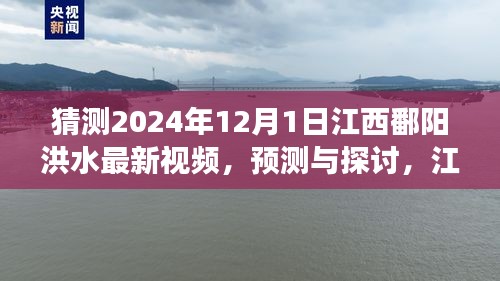 江西鄱陽湖區(qū)洪水現(xiàn)象觀察與預(yù)測，聚焦2024年12月1日的最新視頻探討