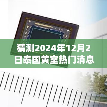 泰國黃室風(fēng)云揭秘，學(xué)習(xí)變革與夢想實(shí)現(xiàn)，2024年12月2日的輝煌展望